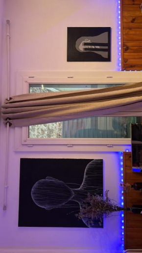 Appartement t 3 Entraigues